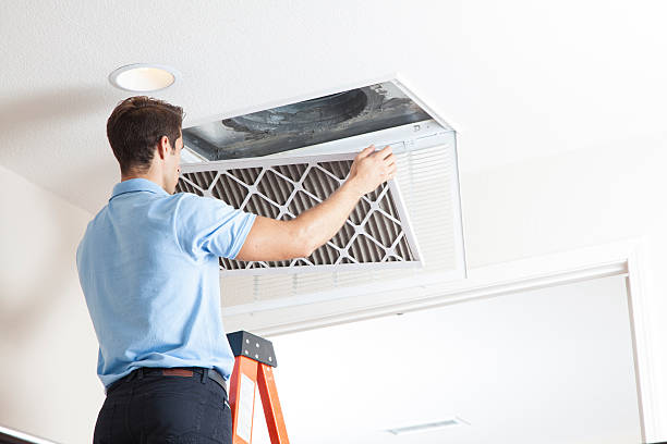 Best Local HVAC companies  in Tilden, NE
